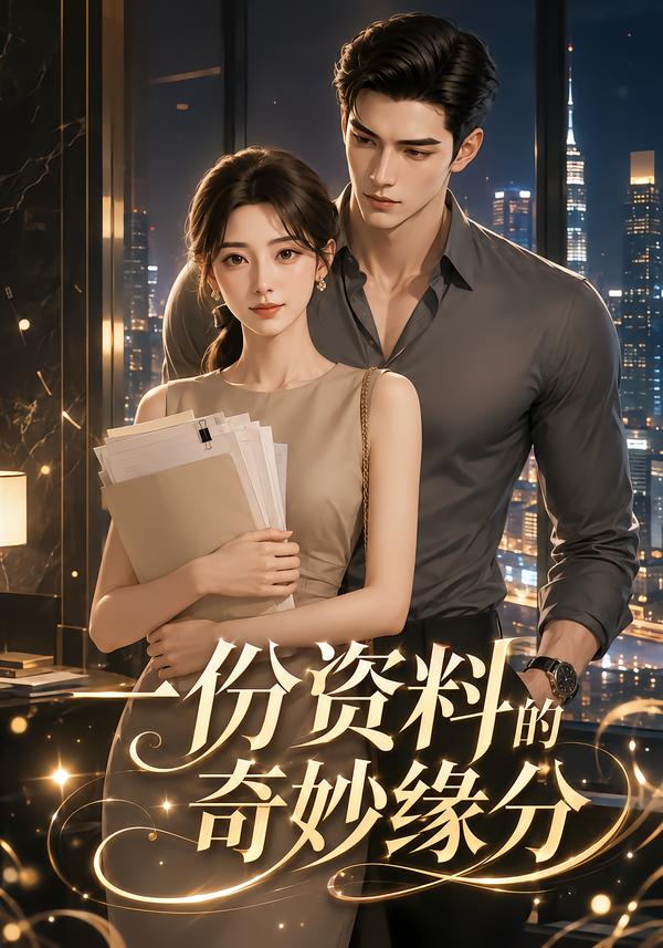 一份资料的奇妙缘分海报