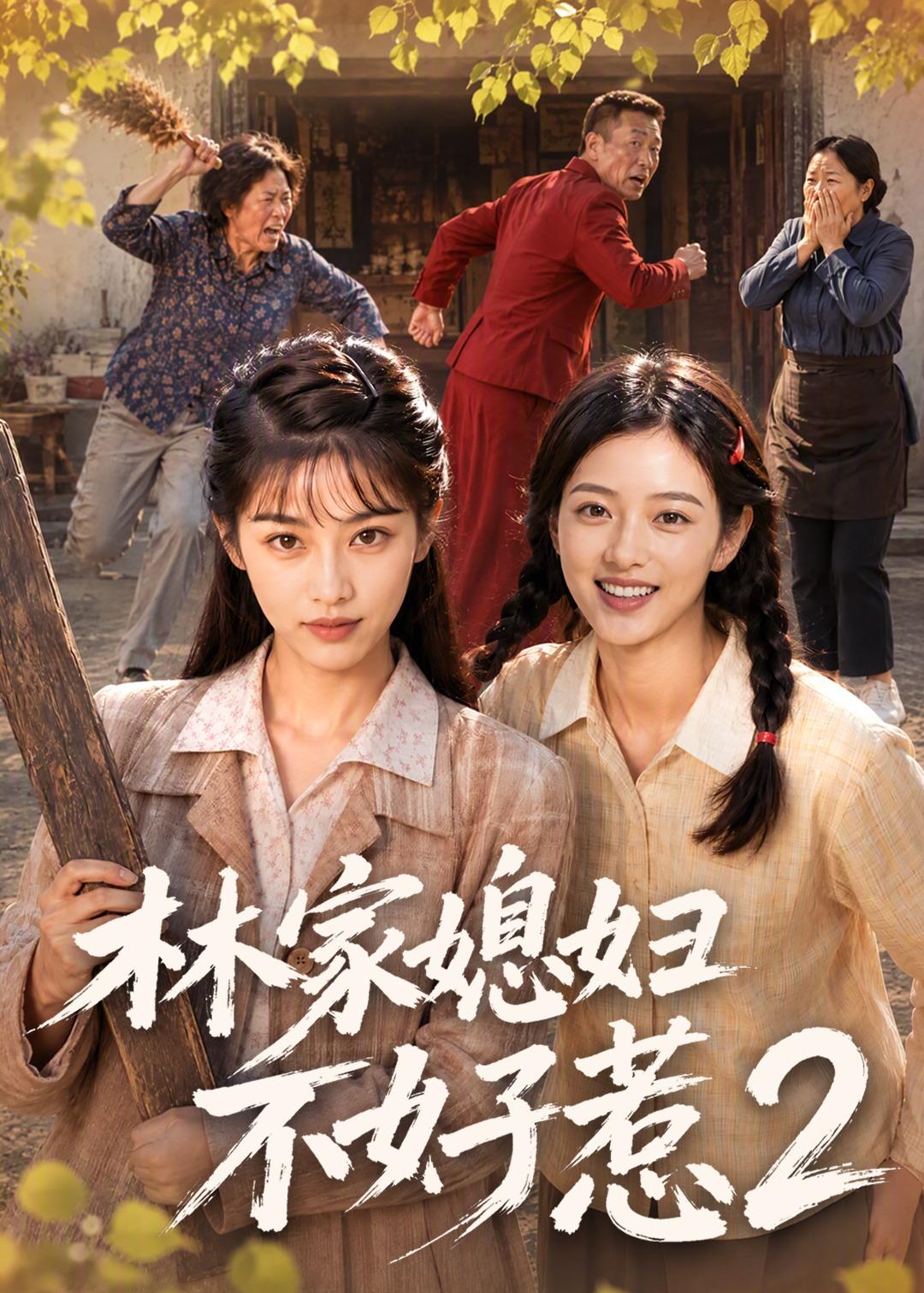 林家媳妇不好惹2海报